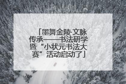 墨舞金陵·文脉传承——书法研学暨“小状元书法大赛”活动启动了
