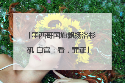 墨西哥国旗飘扬洛杉矶 白宫：看，罪证