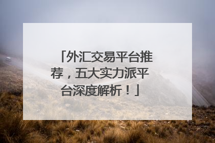 外汇交易平台推荐，五大实力派平台深度解析！