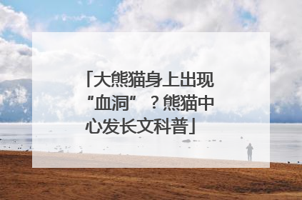 大熊猫身上出现“血洞”？熊猫中心发长文科普