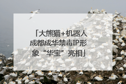 大熊猫+机器人 成都成华禁毒IP形象“华宝”亮相
