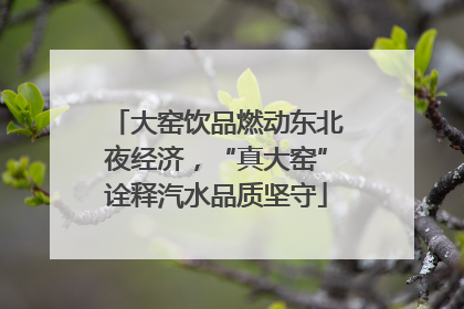 大窑饮品燃动东北夜经济，“真大窑”诠释汽水品质坚守