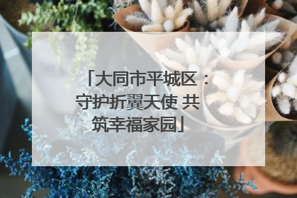 大同市平城区：守护折翼天使 共筑幸福家园