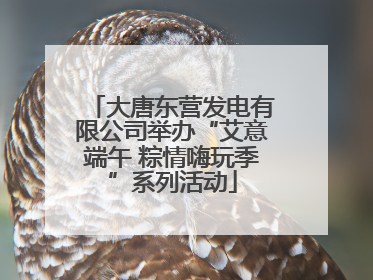 大唐东营发电有限公司举办“艾意端午 粽情嗨玩季”系列活动
