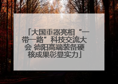 大国重器亮相“一带一路”科技交流大会 德阳高端装备硬核成果彰显实力