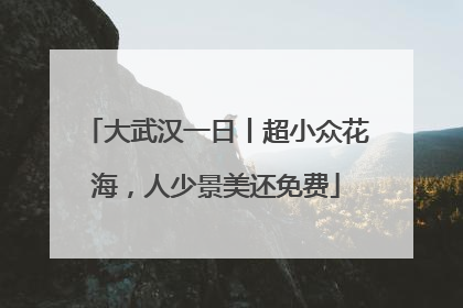 大武汉一日丨超小众花海，人少景美还免费