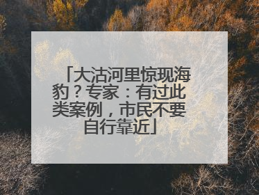 大沽河里惊现海豹？专家：有过此类案例，市民不要自行靠近