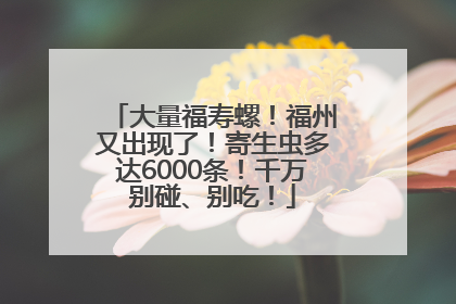 大量福寿螺！福州又出现了！寄生虫多达6000条！千万别碰、别吃！