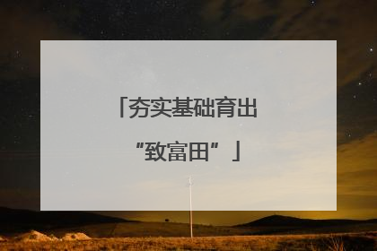 夯实基础育出“致富田”