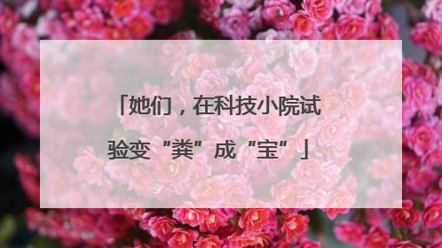 她们，在科技小院试验变“粪”成“宝”