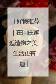 好物推荐｜在周庄邂逅造物之美 生活更有趣