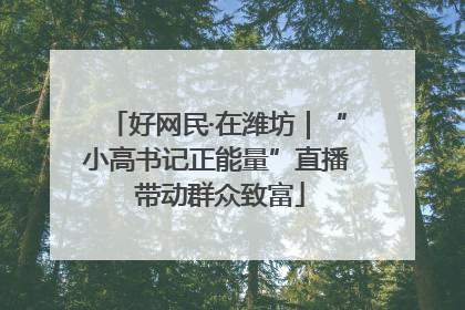 好网民·在潍坊｜“小高书记正能量”直播 带动群众致富