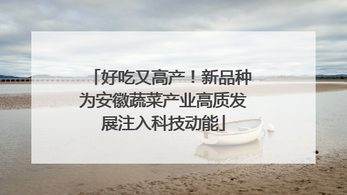 好吃又高产！新品种为安徽蔬菜产业高质发展注入科技动能