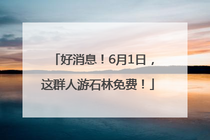 好消息！6月1日，这群人游石林免费！