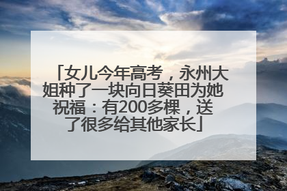 女儿今年高考，永州大姐种了一块向日葵田为她祝福：有200多棵，送了很多给其他家长