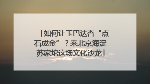 如何让玉巴达杏“点石成金”？来北京海淀苏家坨这场文化沙龙