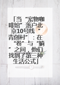 当“宠物咖啡馆”落户北京10号线“青创村”：在“卷”与“躺”之间，他们找到了第三种生活公式
