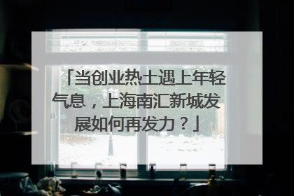 当创业热土遇上年轻气息，上海南汇新城发展如何再发力？