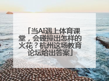 当AI遇上体育课堂，会碰撞出怎样的火花？杭州这场教育论坛给出答案