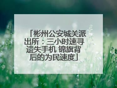 彬州公安城关派出所：三小时速寻遗失手机 锦旗背后的为民速度