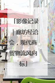 影像记录｜廊坊经洽会，现代商贸物流风向标