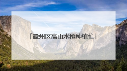 徽州区高山水稻种植忙