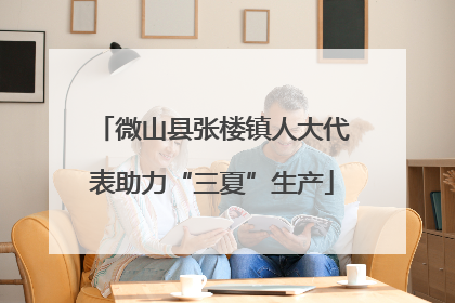 微山县张楼镇人大代表助力“三夏”生产