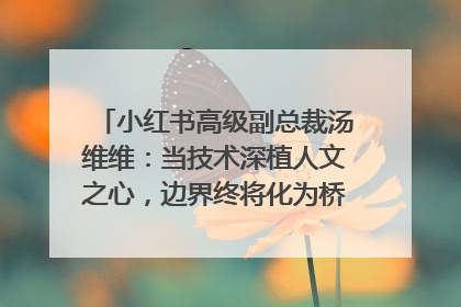 小红书高级副总裁汤维维：当技术深植人文之心，边界终将化为桥梁｜聚焦2025文化强国建设高峰论坛
