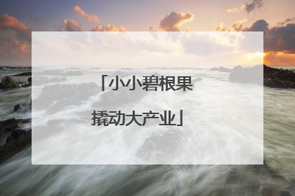 小小碧根果撬动大产业