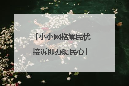 小小网格解民忧 接诉即办暖民心