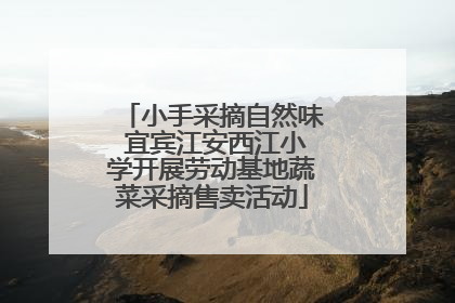 小手采摘自然味 宜宾江安西江小学开展劳动基地蔬菜采摘售卖活动