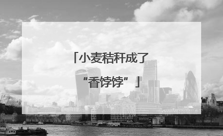 小麦秸秆成了“香饽饽”