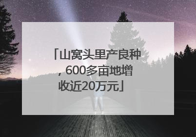 山窝头里产良种，600多亩地增收近20万元