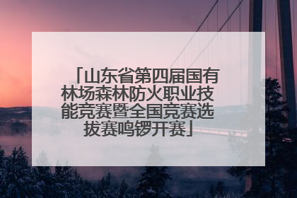 山东省第四届国有林场森林防火职业技能竞赛暨全国竞赛选拔赛鸣锣开赛