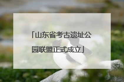 山东省考古遗址公园联盟正式成立