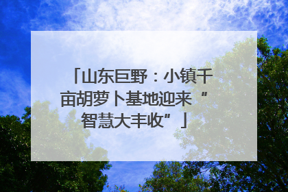 山东巨野：小镇千亩胡萝卜基地迎来“智慧大丰收”