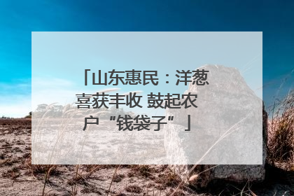 山东惠民：洋葱喜获丰收 鼓起农户“钱袋子”