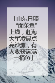山东日照“面条鱼”上线，赶海大军凌晨点亮沙滩，有人收获满满一桶鱼