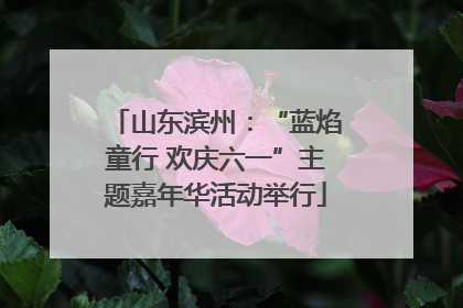 山东滨州：“蓝焰童行 欢庆六一”主题嘉年华活动举行