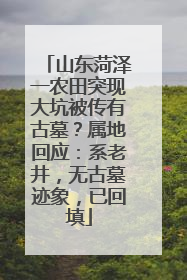 山东菏泽一农田突现大坑被传有古墓？属地回应：系老井，无古墓迹象，已回填