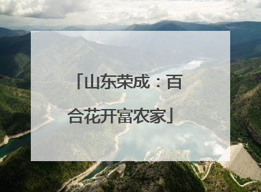 山东荣成：百合花开富农家
