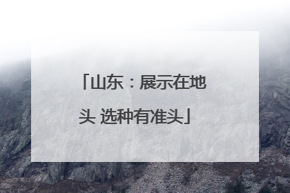 山东：展示在地头 选种有准头