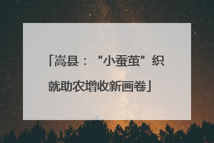 嵩县：“小蚕茧”织就助农增收新画卷
