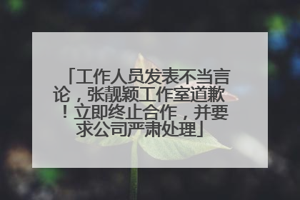 工作人员发表不当言论，张靓颖工作室道歉！立即终止合作，并要求公司严肃处理