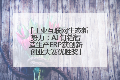工业互联网生态新势力：AI 钉铛智造生产ERP获创新创业大赛优胜奖
