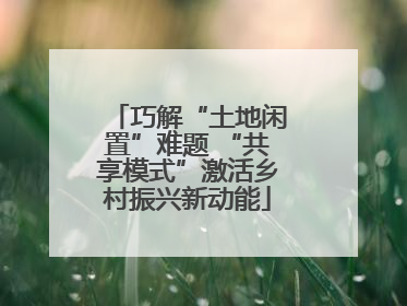 巧解“土地闲置”难题 “共享模式”激活乡村振兴新动能