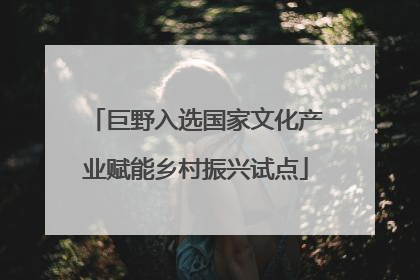 巨野入选国家文化产业赋能乡村振兴试点