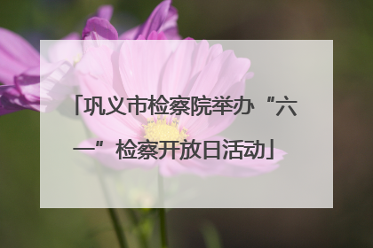 巩义市检察院举办“六一”检察开放日活动