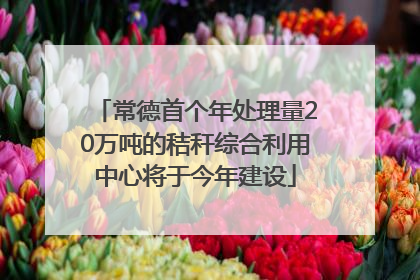 常德首个年处理量20万吨的秸秆综合利用中心将于今年建设