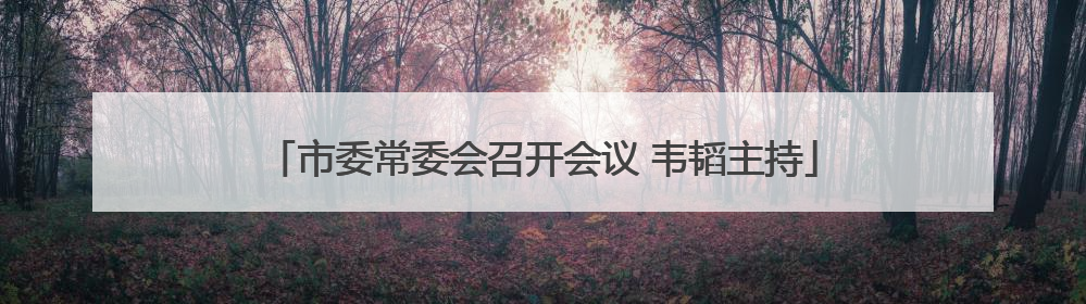 市委常委会召开会议 韦韬主持